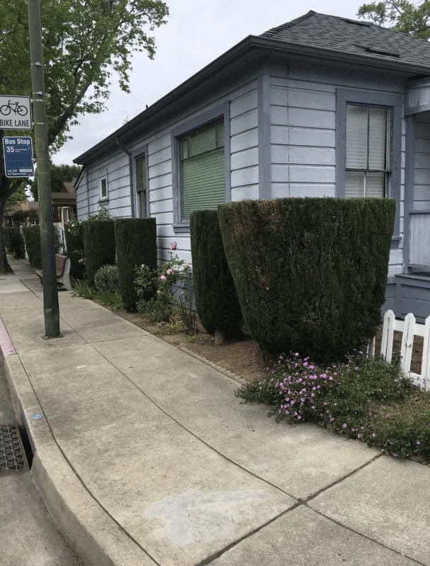 Local lawn care service in San Jose, CA by Gonzalez Gardening Bay Área