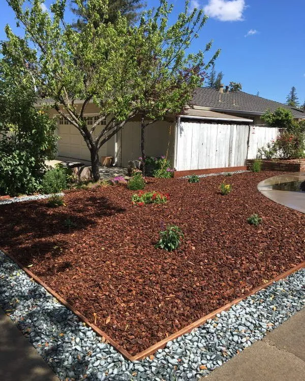 Top-rated landscape design in San Jose, CA by Gonzalez Gardening Bay Área