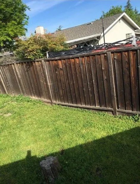 Expert lawn care service for homes across San Jose, CA - Gonzalez Gardening Bay Área