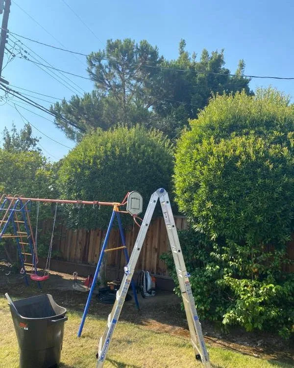 Top-rated lawn mowing service experts serving San Jose, CA - Gonzalez Gardening Bay Área