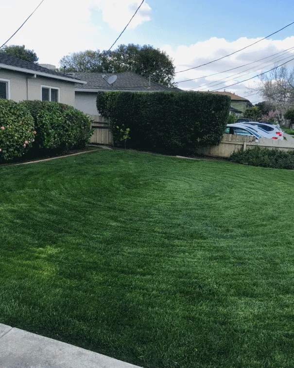 Professional landscaping services for year-round maintenance across San Jose, CA - Gonzalez Gardening Bay Área