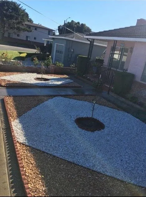 Expert yard cleanup service in San Jose, CA - Gonzalez Gardening Bay Área