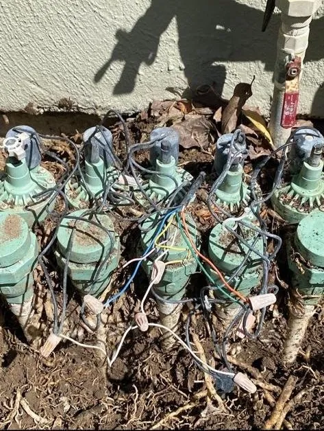 Affordable landscape design in San Jose, CA by Gonzalez Gardening Bay Área