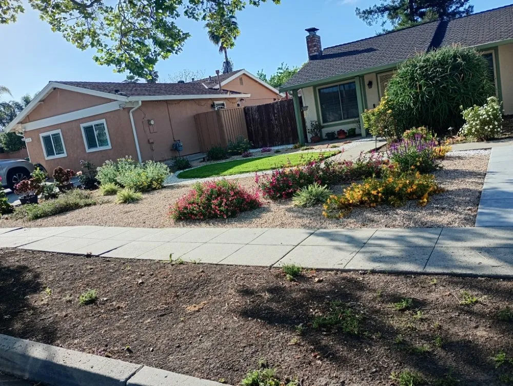 Local lawn care service near you in San Jose, CA by Gonzalez Gardening
