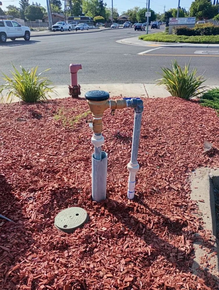 Expert garden landscaping in San Jose, CA by Gonzalez Gardening