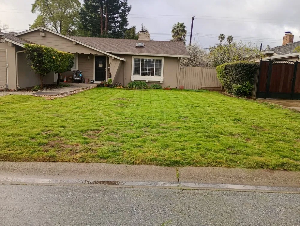 Reliable lawn mowing service experts serving San Jose, CA - Gonzalez Gardening