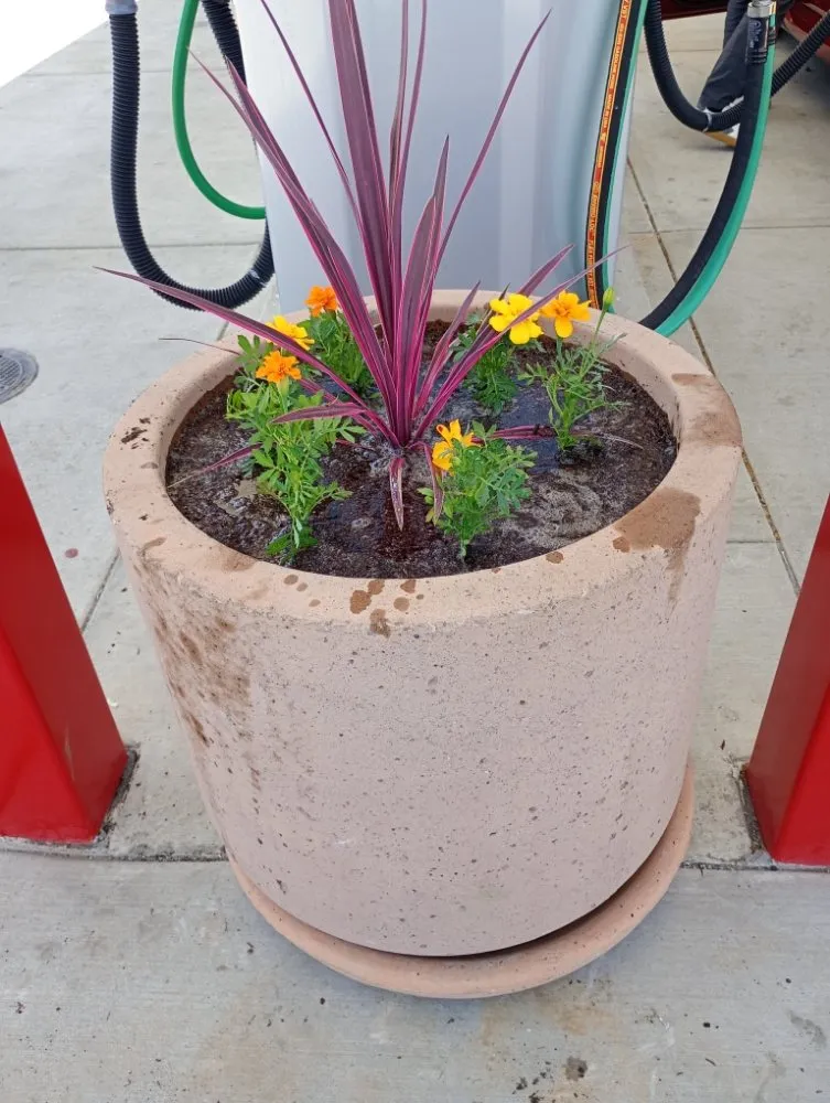 Reliable landscaping services in San Jose, CA - Gonzalez Gardening