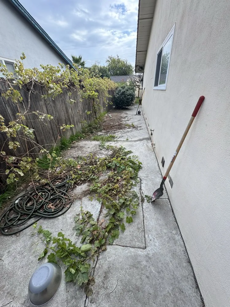 Professional landscaping services for outdoor upgrades across Lockeford, CA - Gonzalez Handyman and Junk Removal