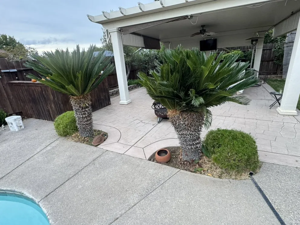 Expert yard maintenance in Lockeford, CA - Gonzalez Handyman and Junk Removal