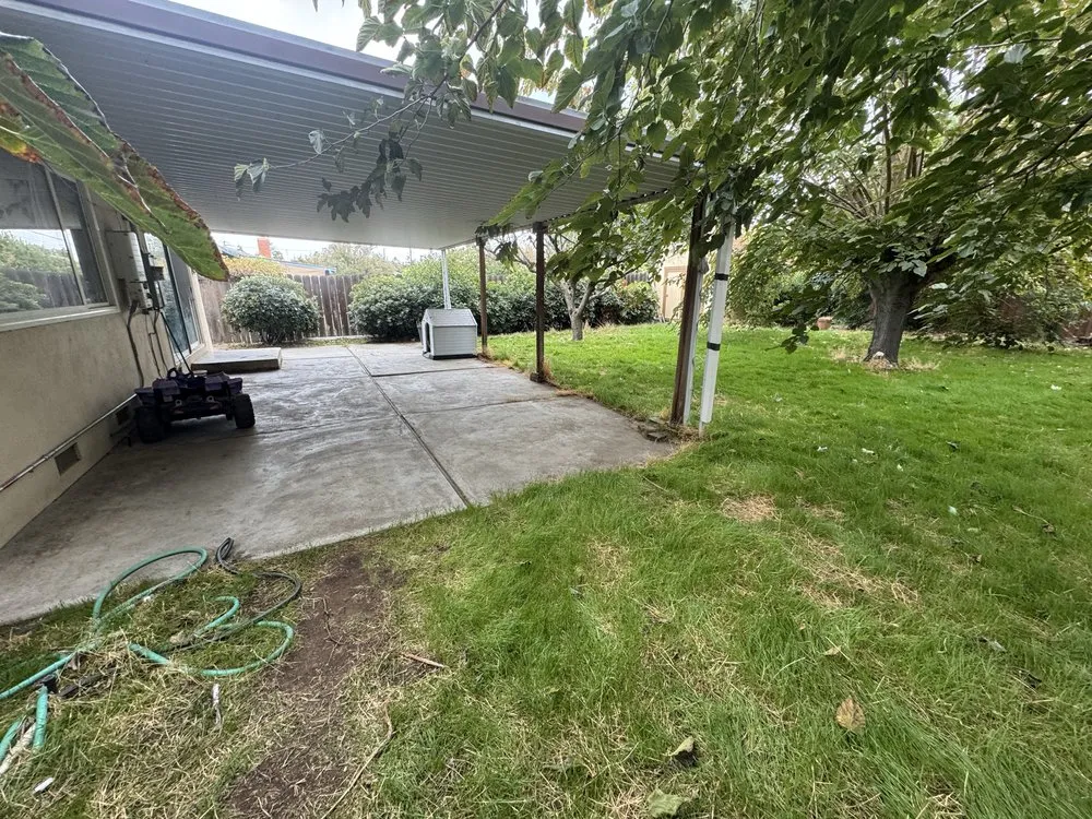 Professional yard cleanup service experts serving Lockeford, CA - Gonzalez Handyman and Junk Removal