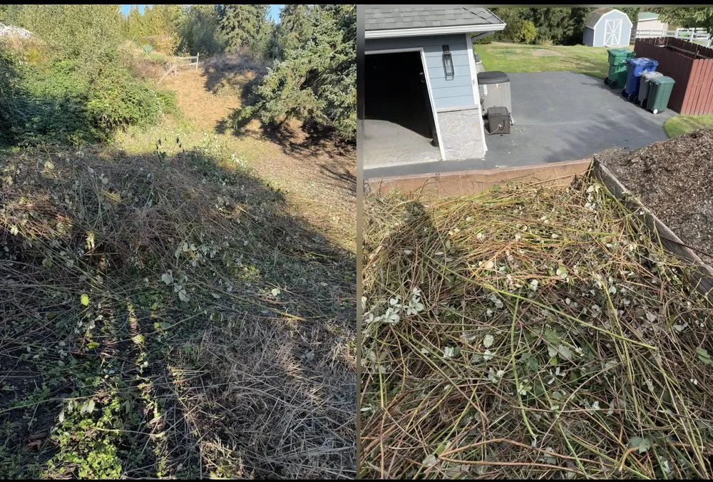Expert landscape installation for beautiful yards across Lake Stevens, WA - Gonzalez Junk Removal and Hauling