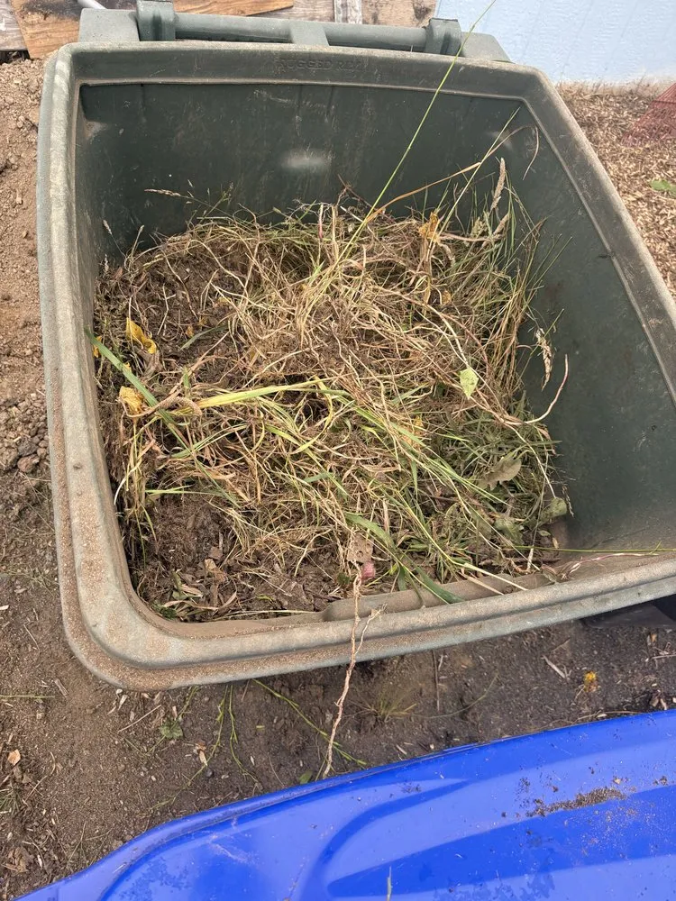 Affordable residential landscaping near you across Lake Stevens, WA - Gonzalez Junk Removal and Hauling