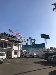 Professional landscape design for beautiful yards in Bonsall, CA by Gonzalez Landscape & Tree Service