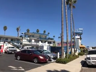 Custom lawn mowing service experts serving Bonsall, CA - Gonzalez Landscape & Tree Service