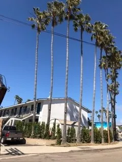 Professional landscape design for outdoor upgrades across Bonsall, CA - Gonzalez Landscape & Tree Service