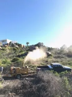 Custom lawn care service for homes across Bonsall, CA - Gonzalez Landscape & Tree Service