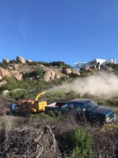 Professional yard maintenance for residential properties across Bonsall, CA - Gonzalez Landscape & Tree Service