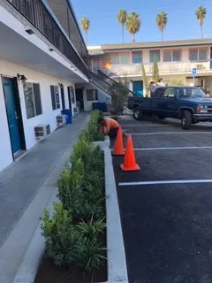 Custom yard maintenance experts serving Bonsall, CA - Gonzalez Landscape & Tree Service