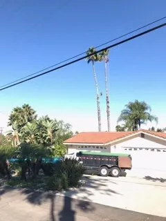 Top-rated landscape installation in Bonsall, CA - Gonzalez Landscape & Tree Service