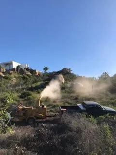 Trusted yard cleanup service experts serving Bonsall, CA - Gonzalez Landscape & Tree Service
