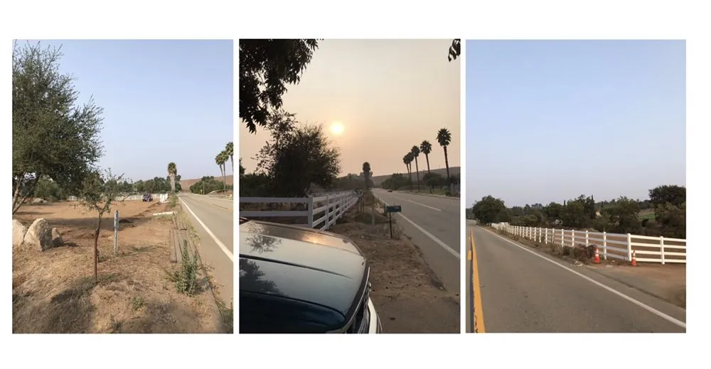 Trusted yard cleanup service in Bonsall, CA by Gonzalez Landscape & Tree Service