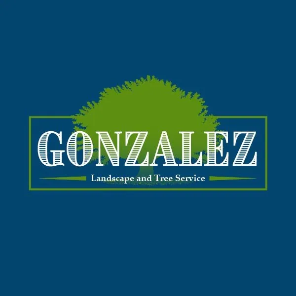 Local yard cleanup service experts serving Bonsall, CA - Gonzalez Landscape & Tree Service
