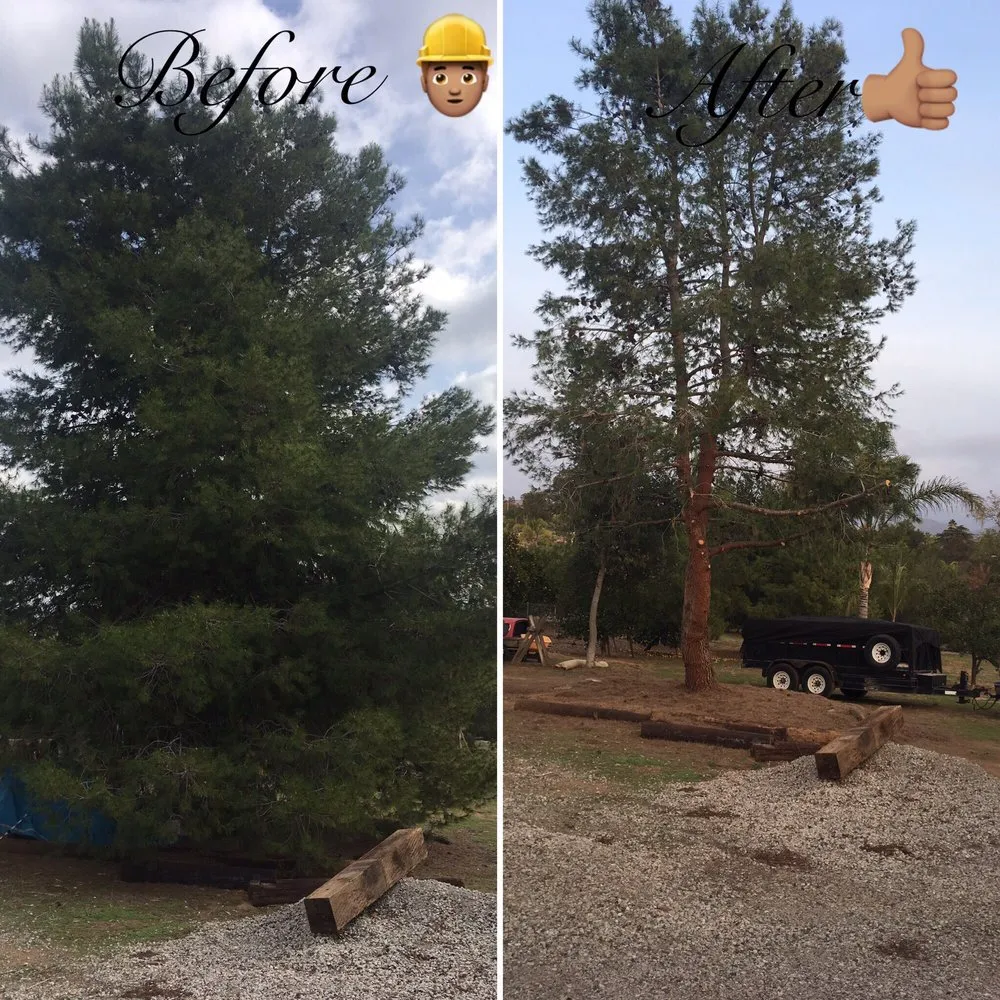 Expert outdoor landscaping for year-round maintenance in Fallbrook, CA by Gonzalez Landscape & Tree Service