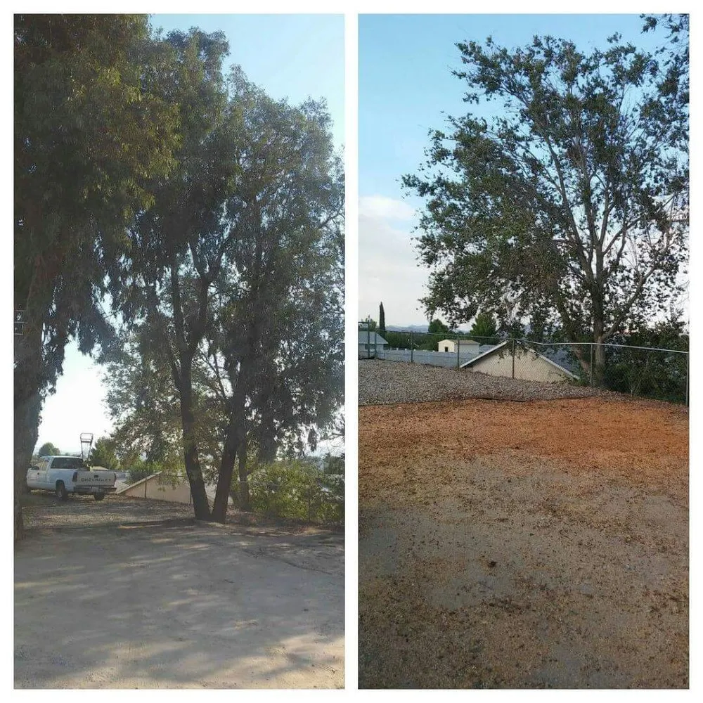 Professional garden landscaping for beautiful yards in Hesperia, CA by Gonzalez Landscape and Tree Service