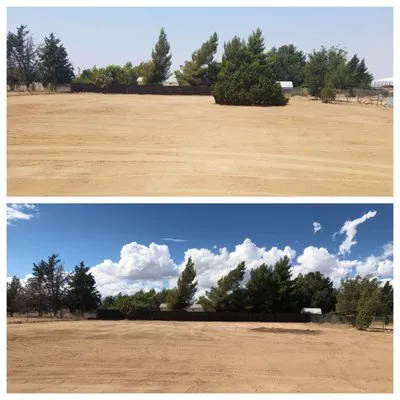 Gonzalez Landscape and Tree Service Logo