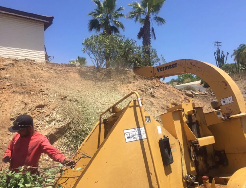 Affordable lawn mowing service near you in Escondido, CA by Gonzalez Landscape