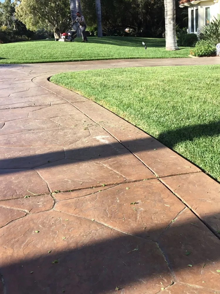 Professional yard cleanup service for year-round maintenance across Escondido, CA - Gonzalez Landscape