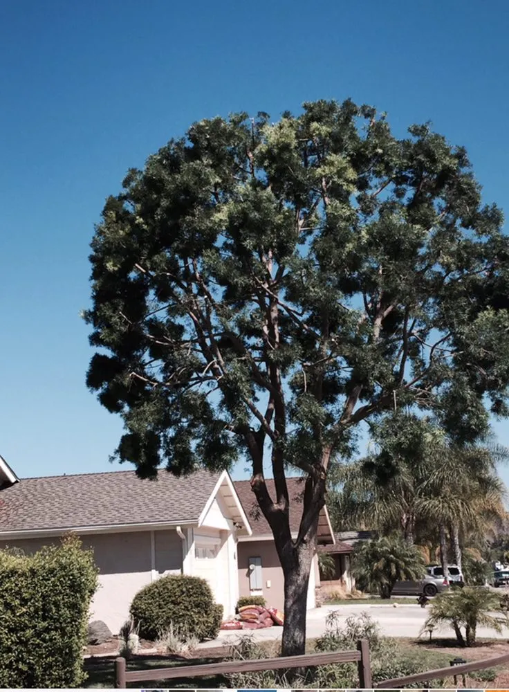 Expert landscaping services in Escondido, CA - Gonzalez Landscape