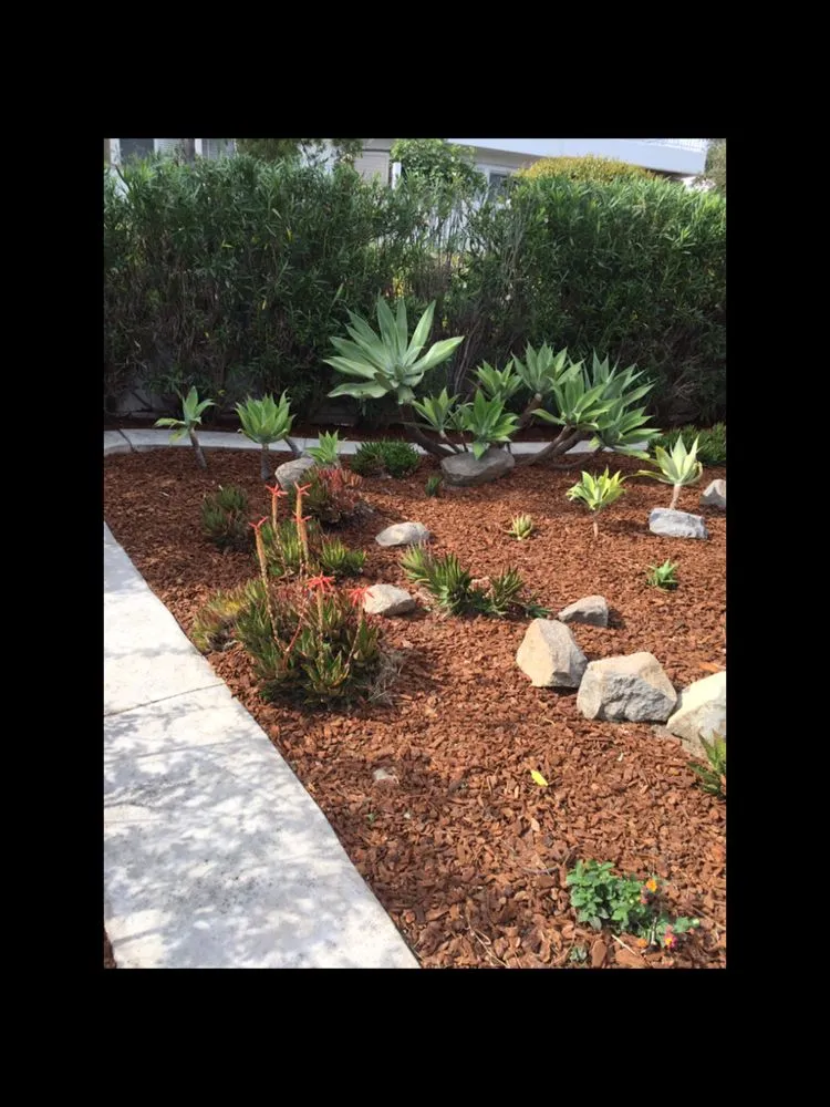 Affordable landscape installation in Escondido, CA by Gonzalez Landscape
