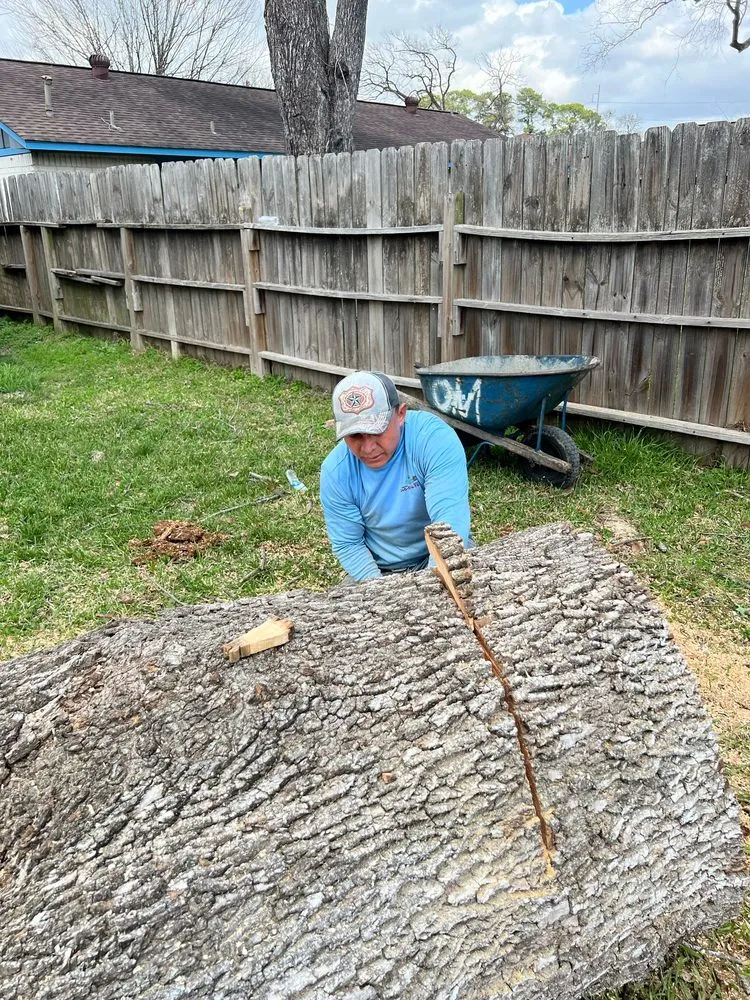 Trusted landscape design in Houston, TX by Gonzalez Landscape