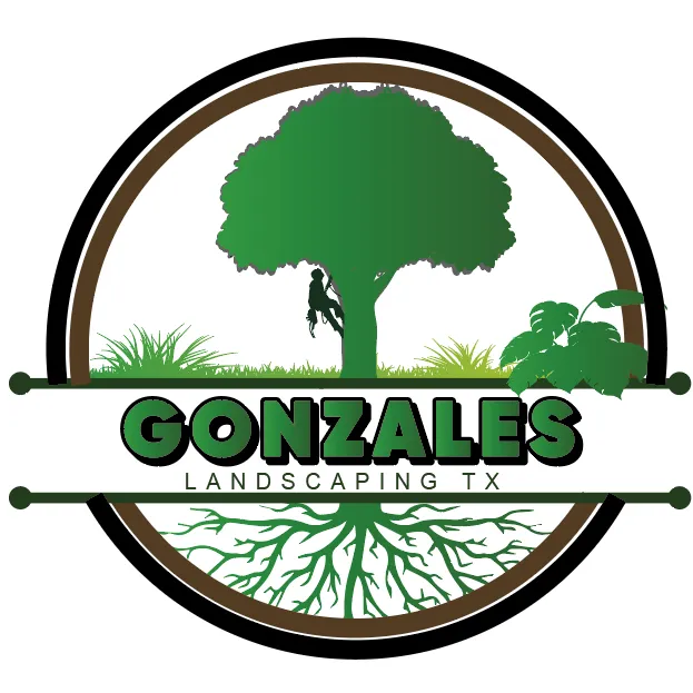 Local landscaping services in Houston, TX - Gonzalez Landscape