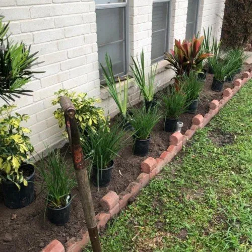 Custom lawn mowing service in Houston, TX by Gonzalez Landscape