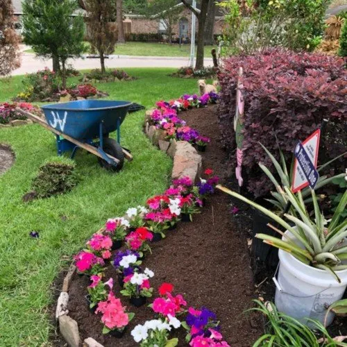 Reliable yard maintenance experts serving Houston, TX - Gonzalez Landscape