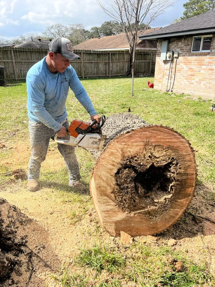 Trusted residential landscaping in Houston, TX by Gonzalez Landscape