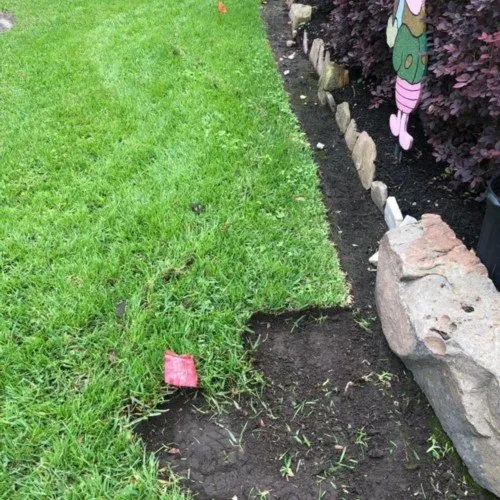 Affordable yard maintenance in Houston, TX - Gonzalez Landscape