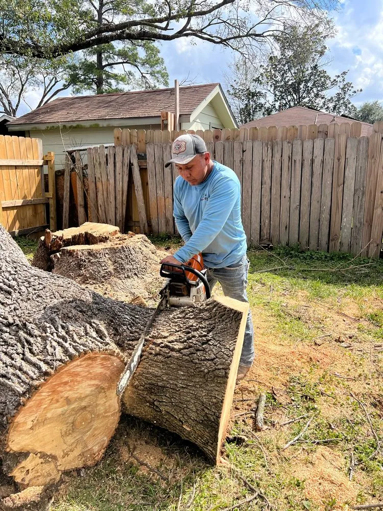 Custom yard maintenance for homes across Houston, TX - Gonzalez Landscape