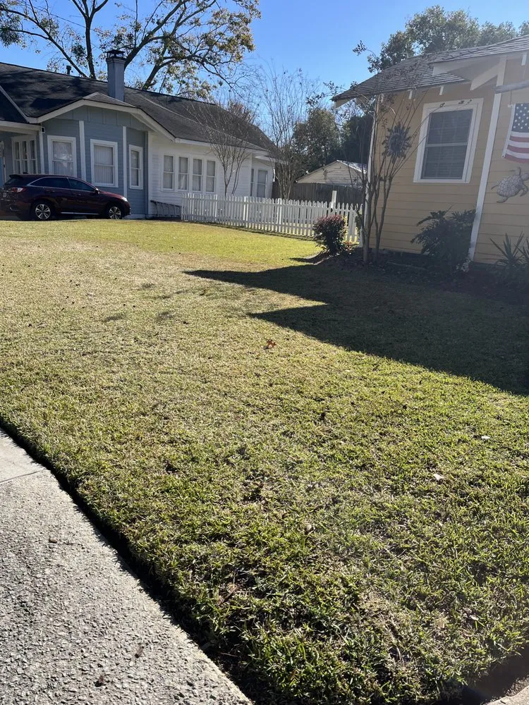 Expert yard cleanup service experts serving Savannah, GA - Gonzalez Landscape