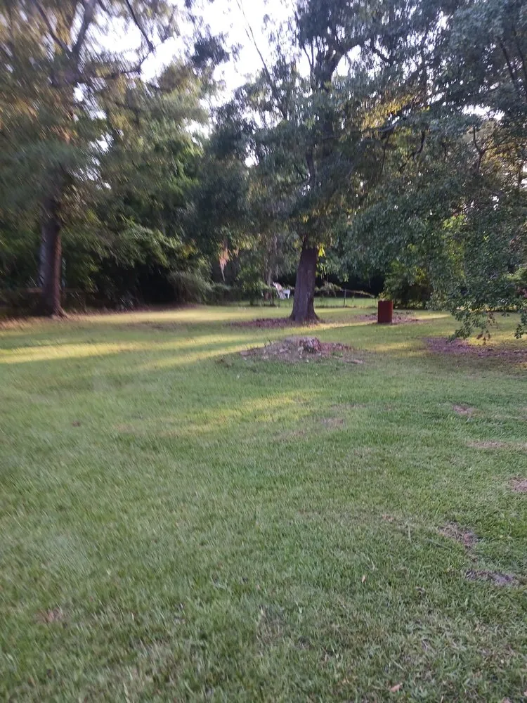 Local landscaping services in Savannah, GA - Gonzalez Landscape