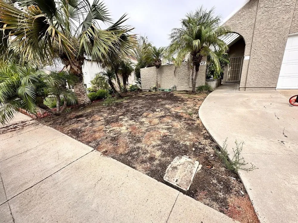 Local outdoor landscaping with custom design across San Diego, CA - Gonzalez Landscape SD