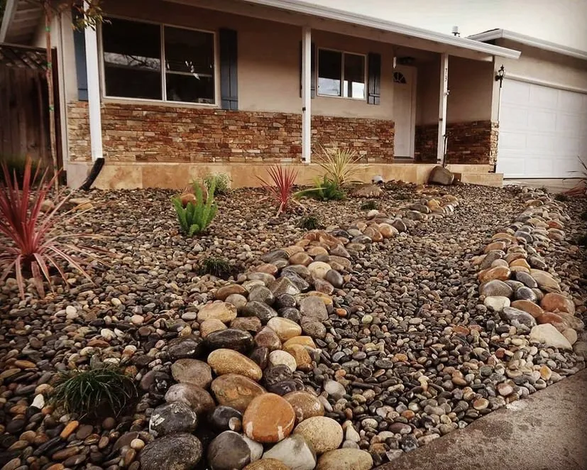 Local landscape installation for year-round maintenance in San Diego, CA by Gonzalez Landscape SD