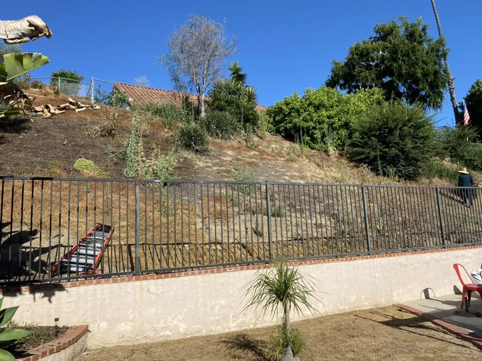 Professional landscape installation in San Diego, CA by Gonzalez Landscape SD