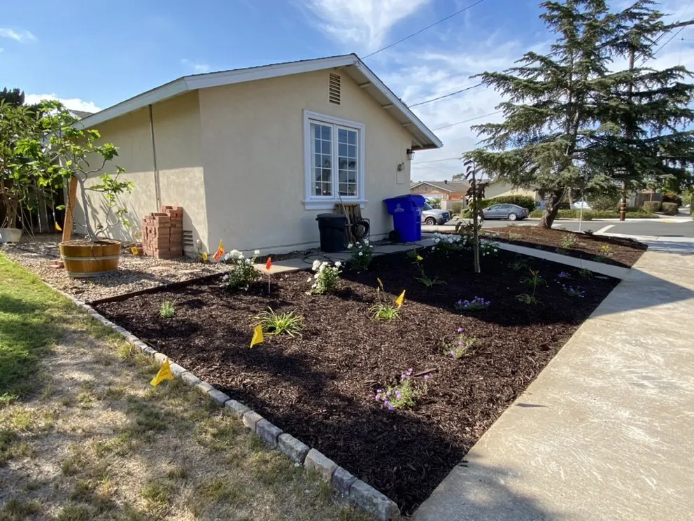 Affordable yard maintenance experts serving San Diego, CA - Gonzalez Landscape SD