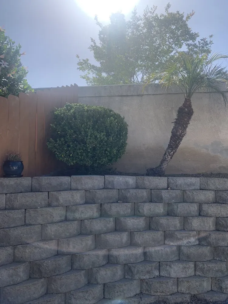 Reliable yard maintenance in San Diego, CA - Gonzalez Landscape SD