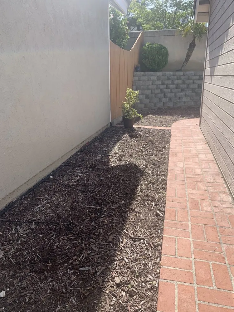 Reliable garden landscaping in San Diego, CA - Gonzalez Landscape SD