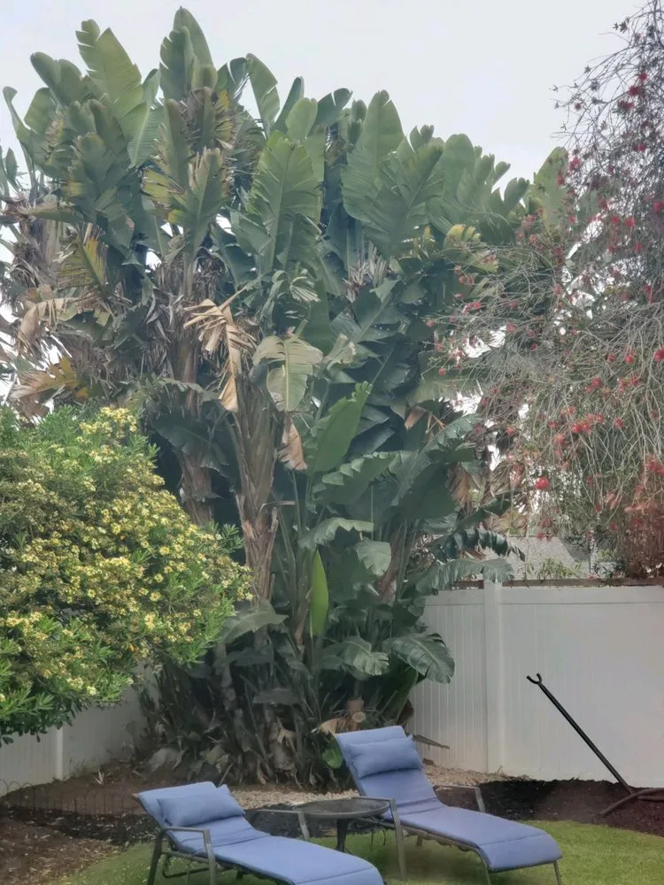 Local residential landscaping for residential properties across San Diego, CA - Gonzalez Landscape SD