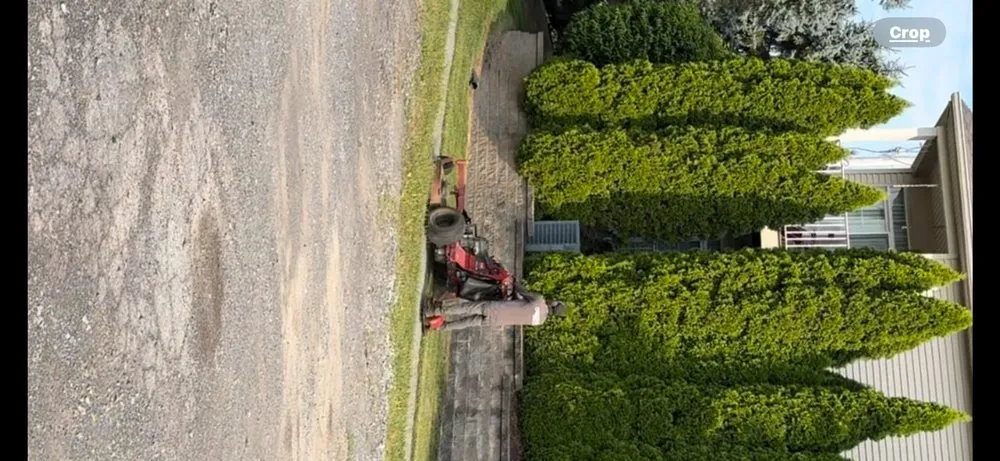 Affordable garden landscaping for year-round maintenance across Millbrook, NY - Gonzalez Landscapes